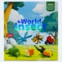 Building block insects